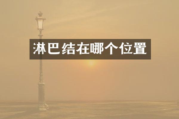 淋巴结在哪个位置