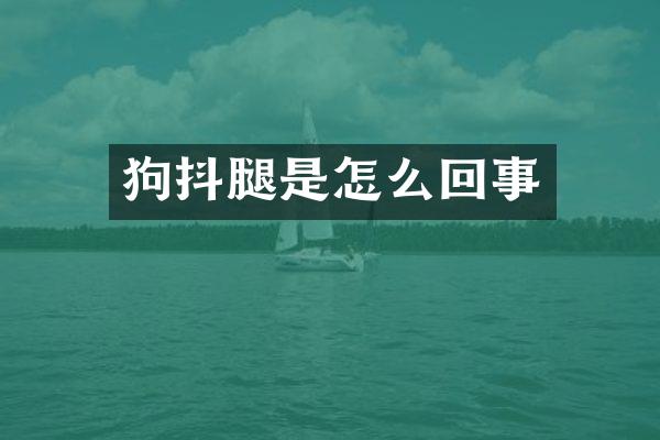 狗抖腿是怎么回事