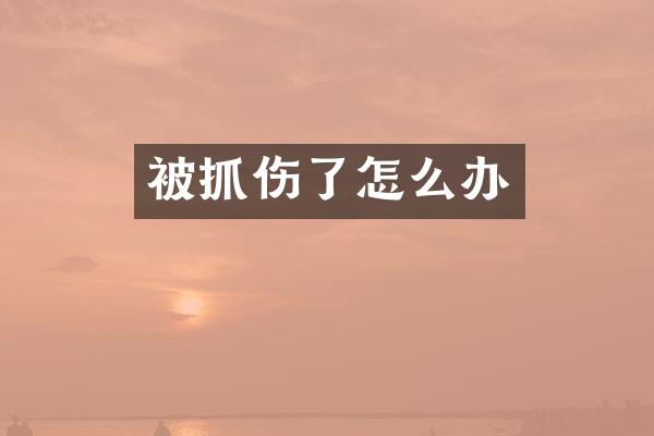 被抓伤了怎么办