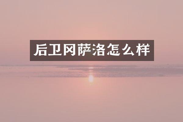后卫冈萨洛怎么样