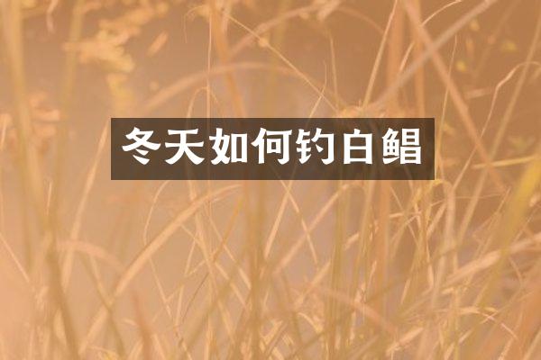 冬天如何钓白鲳