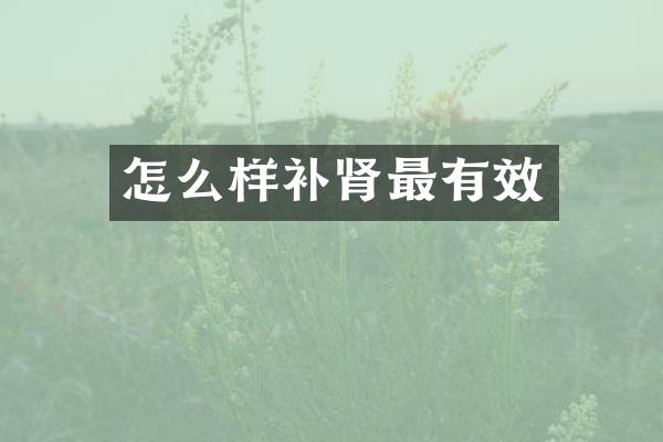 怎么样补肾最有效