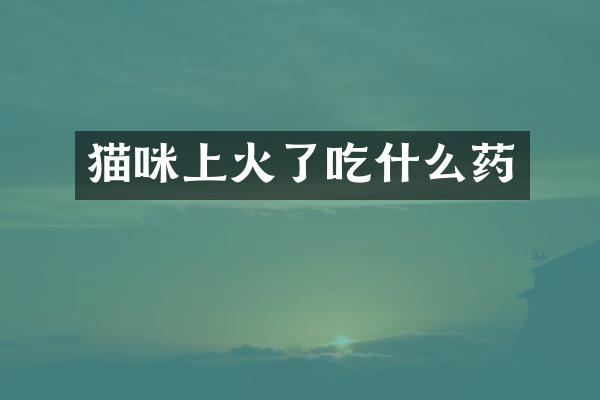 猫咪上火了吃什么药