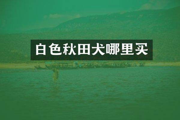 白色秋田犬哪里买
