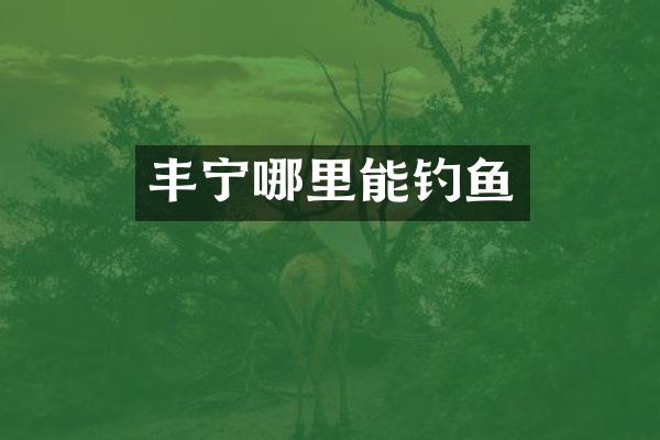 丰宁哪里能钓鱼