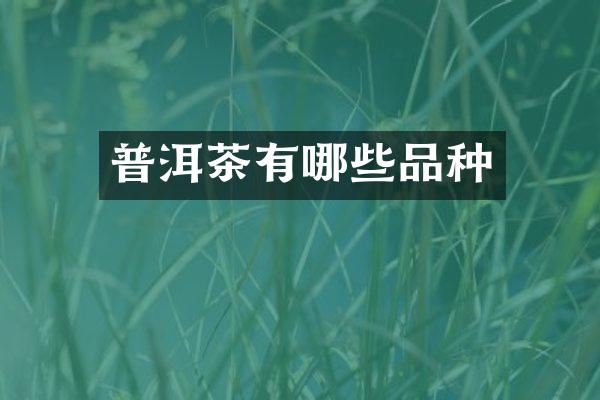 普洱茶有哪些品种