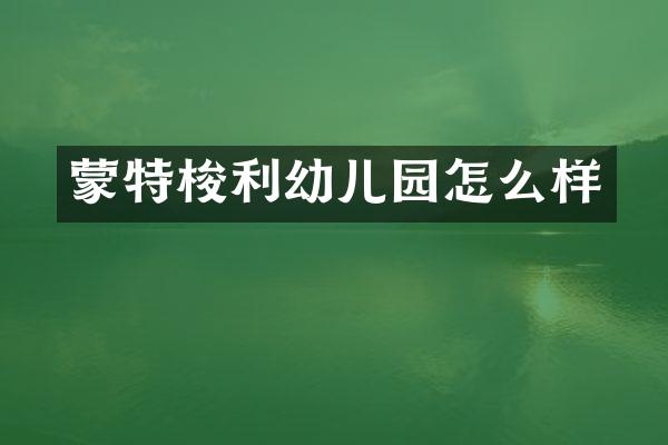 蒙特梭利幼儿园怎么样