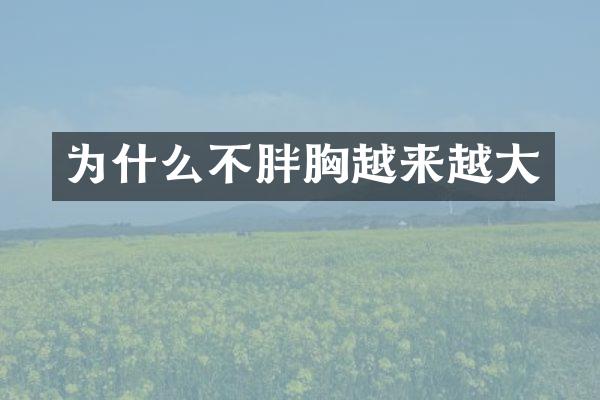 为什么不胖胸越来越大