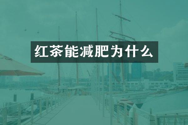 红茶能减肥为什么