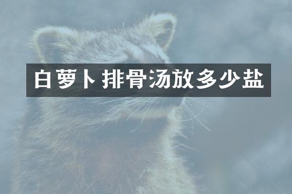白萝卜排骨汤放多少盐