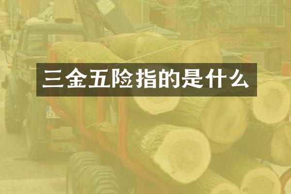 三金五险指的是什么