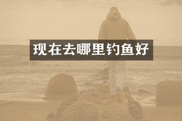 现在去哪里钓鱼好