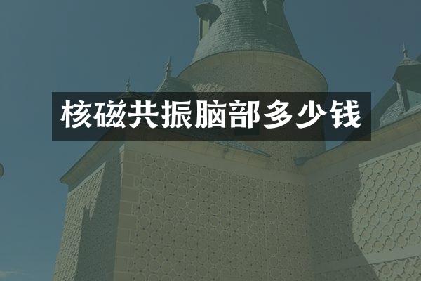 核磁共振脑部多少钱