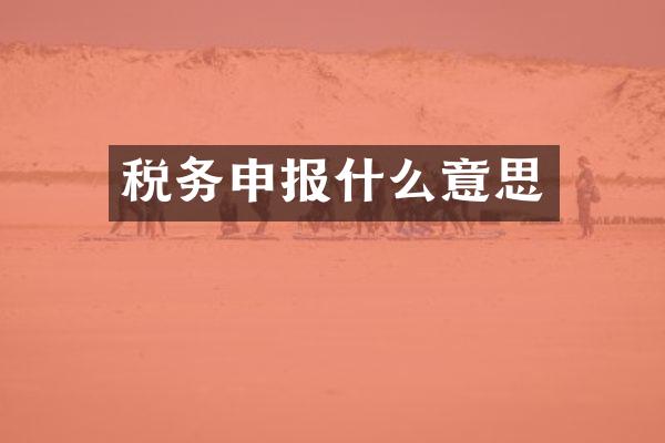税务申报什么意思