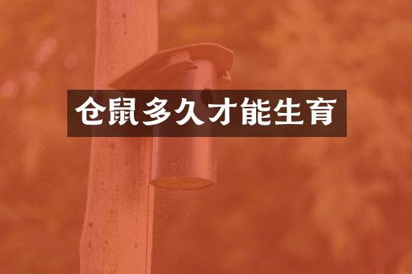 仓鼠多久才能生育