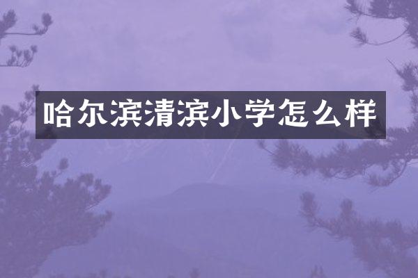 哈尔滨清滨小学怎么样