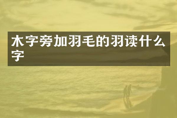 木加羽毛的羽读什么字