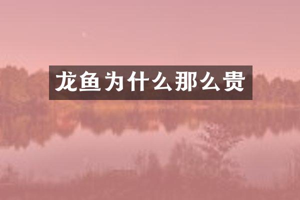 龙鱼为什么那么贵