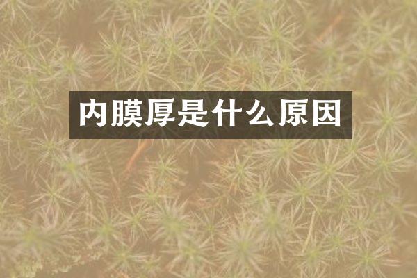 内膜厚是什么原因