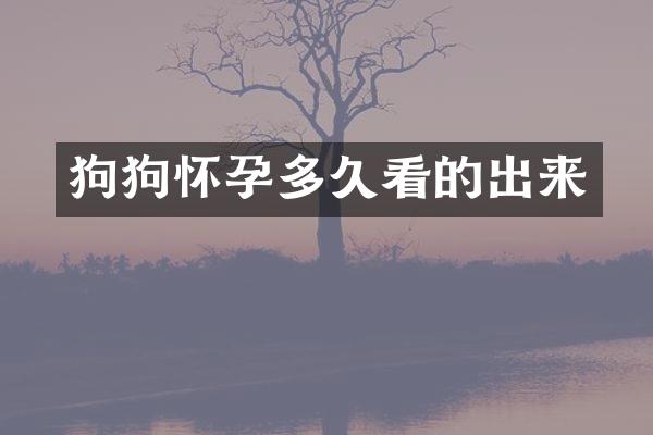 狗狗怀孕多久看的出来