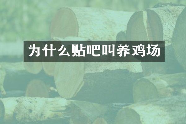 为什么贴吧叫养鸡场