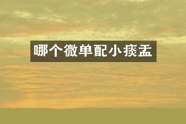 哪个微单配小痰盂