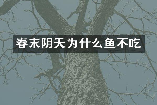 春末阴天为什么鱼不吃