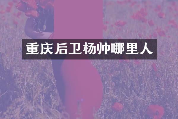 重庆后卫杨帅哪里人