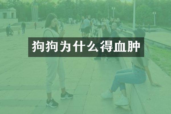 狗狗为什么得血肿