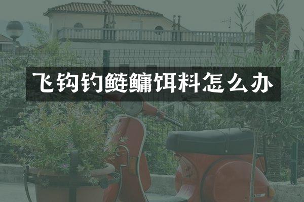飞钩钓鲢鳙饵料怎么办