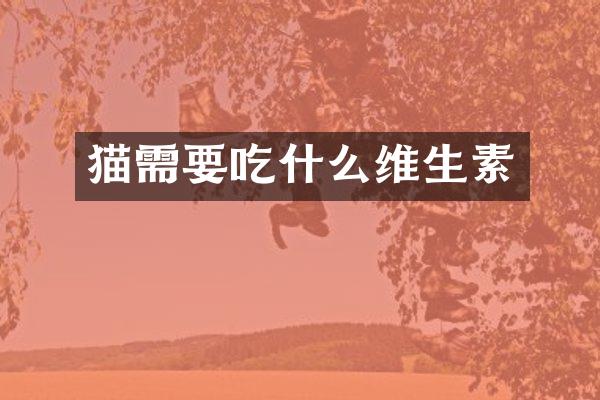 猫需要吃什么维生素