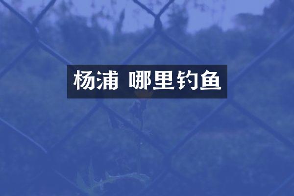 杨浦 哪里钓鱼