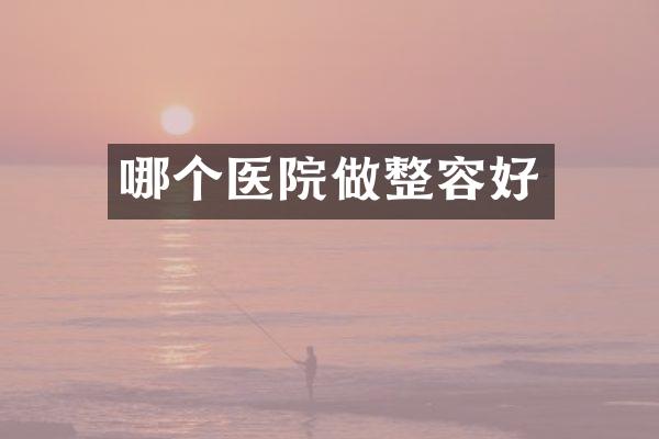 哪个医院做整容好
