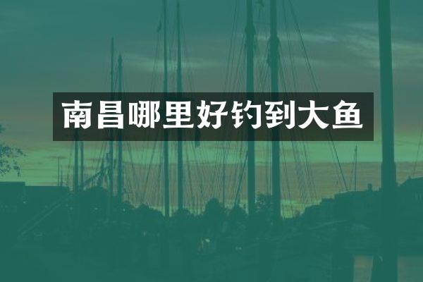 南昌哪里好钓到大鱼