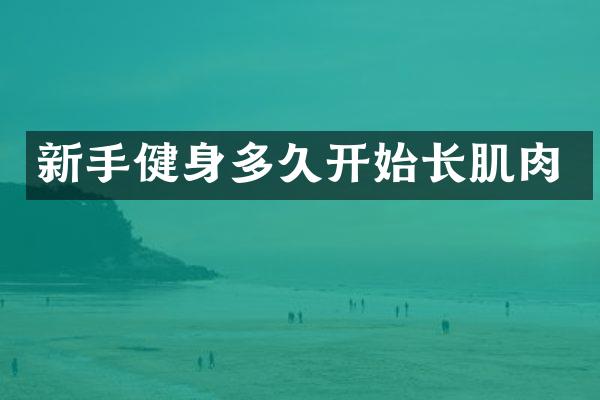 新手健身多久开始长肌肉