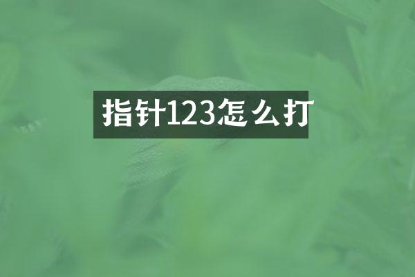 指针123怎么打