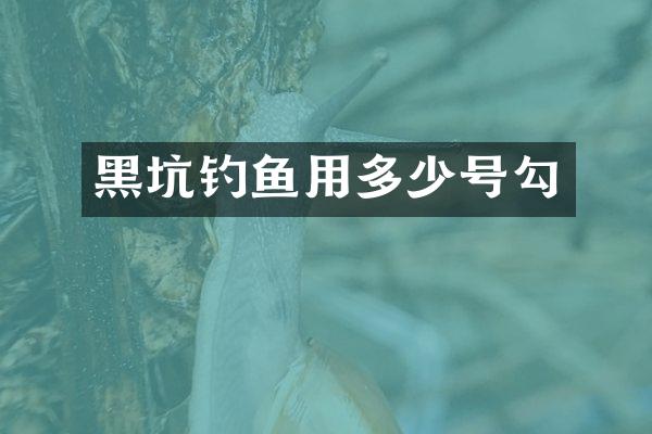 黑坑钓鱼用多少号勾