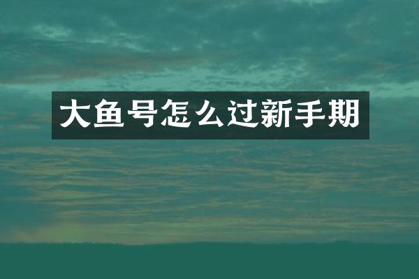大鱼号怎么过新手期
