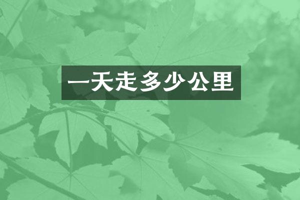 一天走多少公里