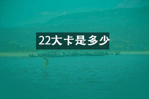 22大卡是多少