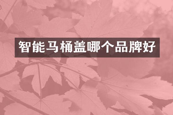 智能马桶盖哪个品牌好