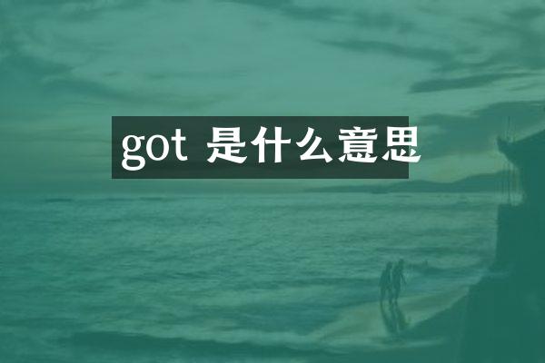 got 是什么意思