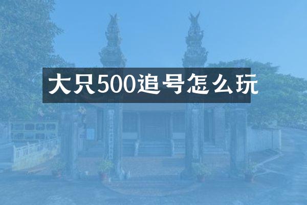 大只500追号怎么玩