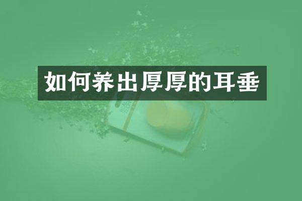如何养出厚厚的耳垂
