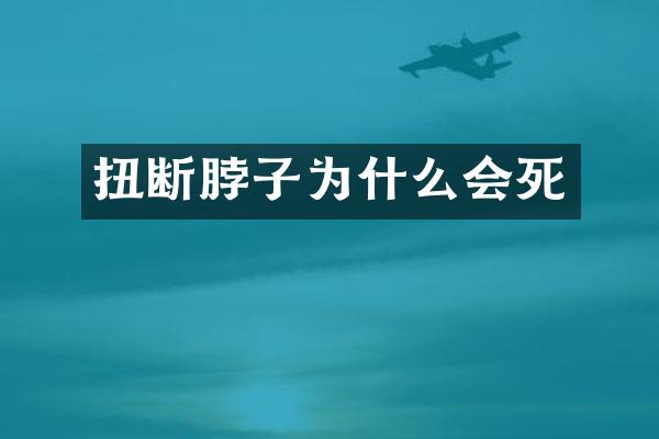 扭断脖子为什么会死