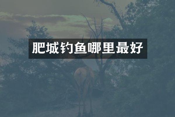 肥城钓鱼哪里最好
