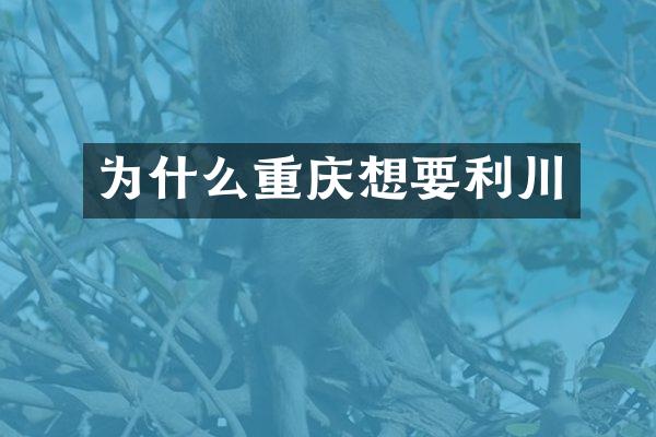 为什么重庆想要利川