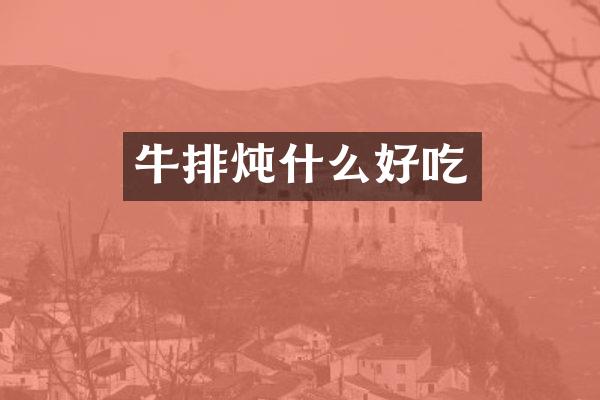 牛排炖什么好吃