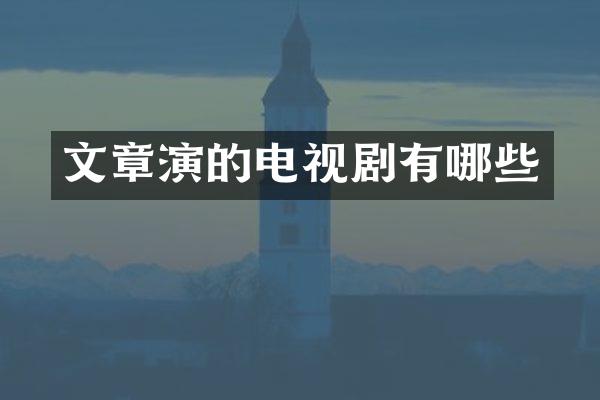 文章演的电视剧有哪些