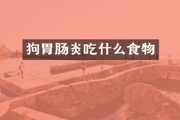 狗胃肠炎吃什么食物